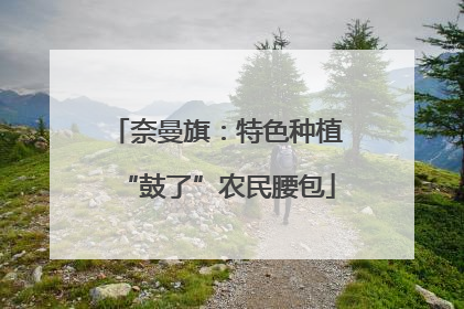 奈曼旗：特色种植“鼓了”农民腰包